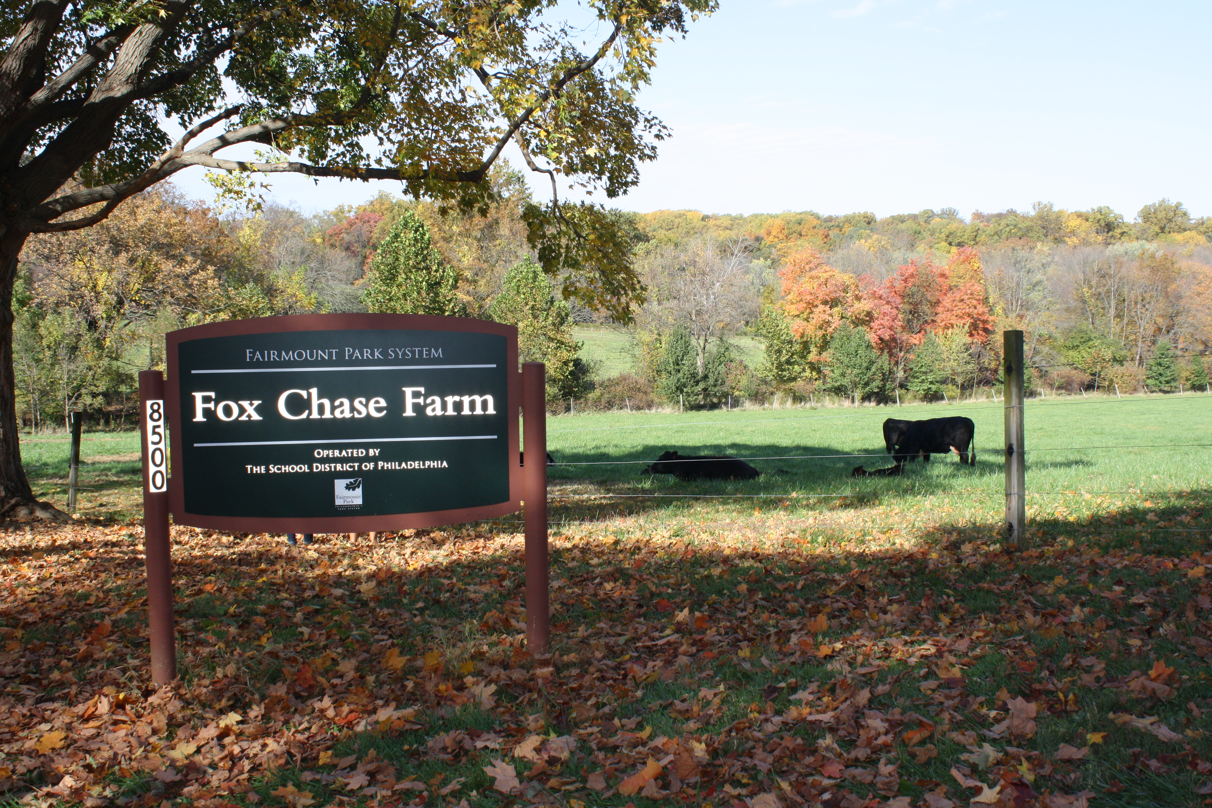 Fox Chase Farm